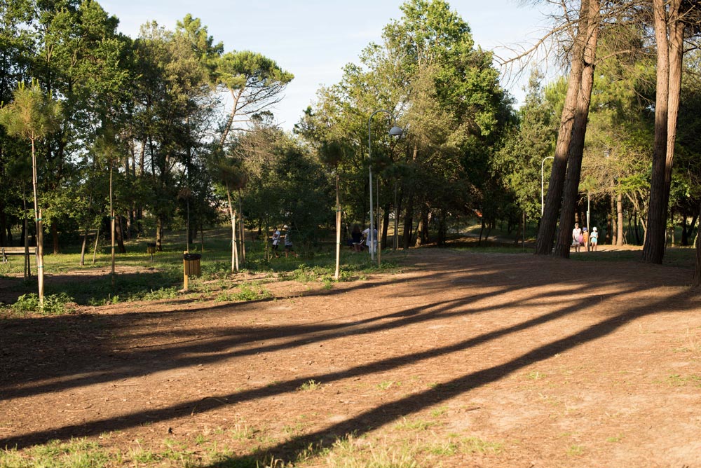 Hotel Sayonara vicino Pineta a Zadina di Cesenatico